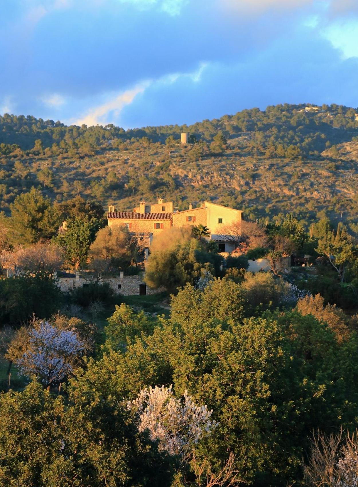 Country house Son Malero *